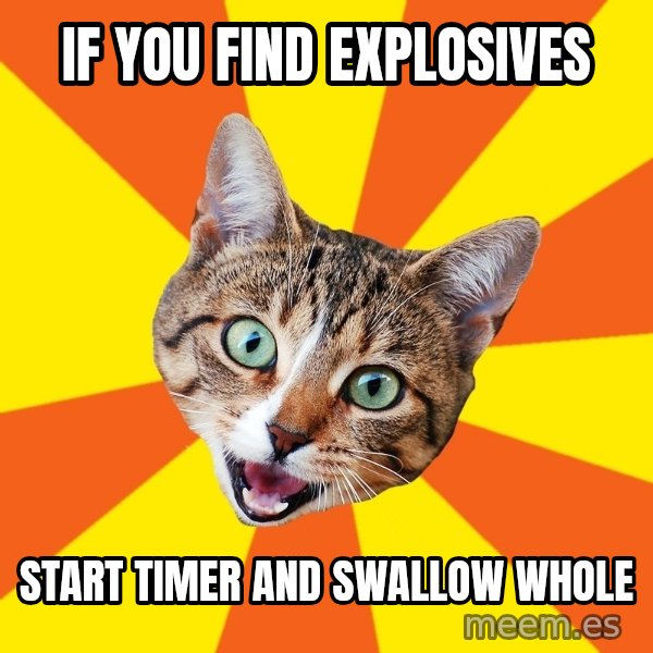Bad Advice Cat meme: if you find explosives / start timer and swallow whole