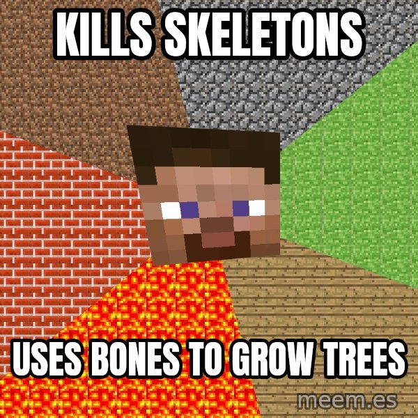 Minecraft Guy meme: Kills skeletons / Uses bones to grow trees