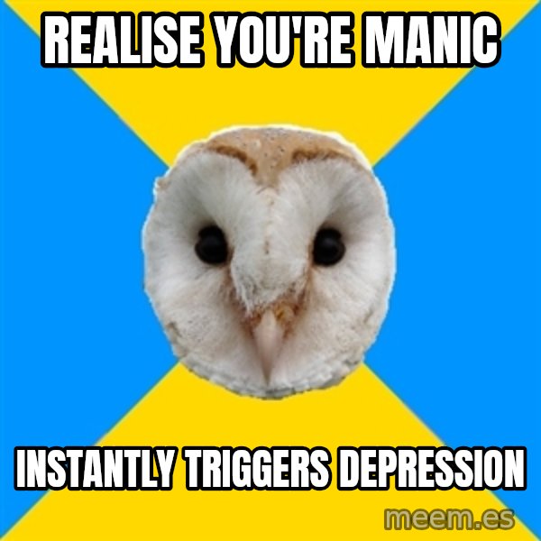 Bipolar Owl meme: realise you're manic / instantly triggers depression