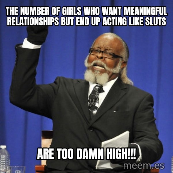 Rent Is Too Damn High meme: THE NUMBER OF GIRLS WHO WANT MEANINGFUL RELATIONSHIPS BUT END UP ACTING LIKE SLUTS / ARE TOO DAMN HIGH!!!