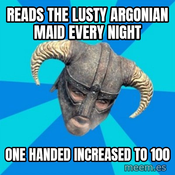 skyrim stan meme: reads the lusty argonian maid every night / one handed increased to 100