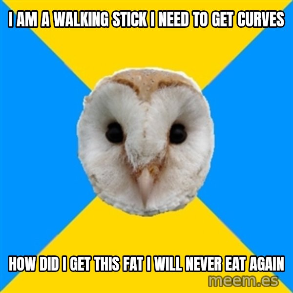 Bipolar Owl meme: I am a walking stick i need to get curves / how did I get this fat i will never eat again