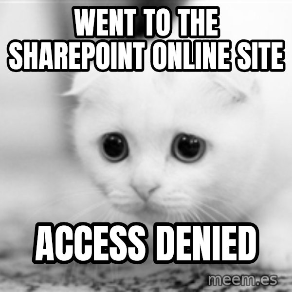 Sadcat meme: Went to the SharePoint Online Site / Access Denied
