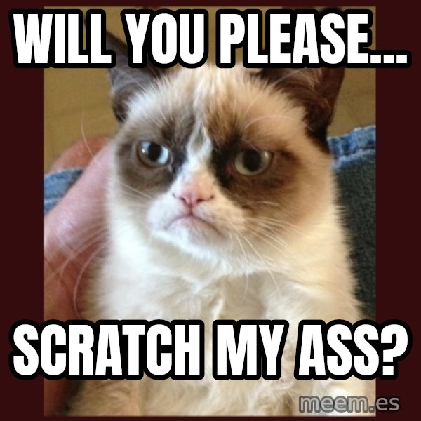Tard the Grumpy Cat meme: will you please... / scratch my ass?