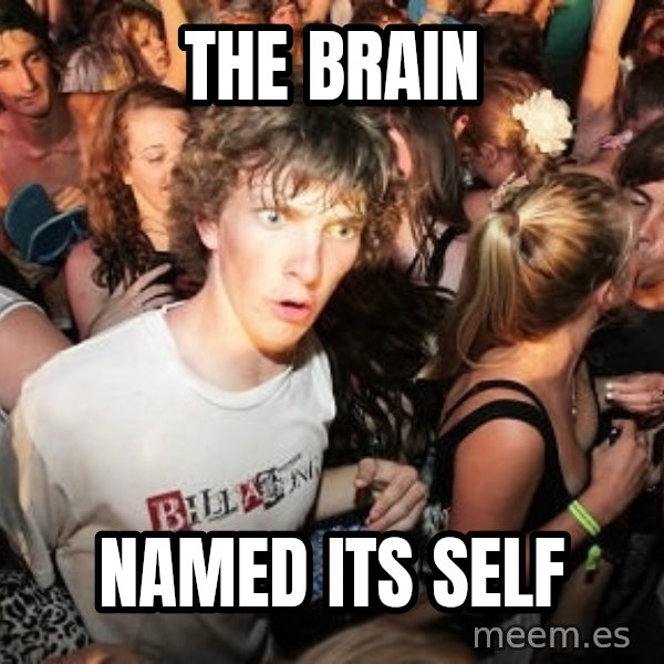 Sudden Realization Ralph meme: the brain / named its self