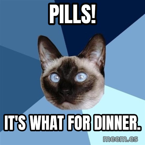 Chronic Illness Cat meme: Pills! / It's what for dinner.