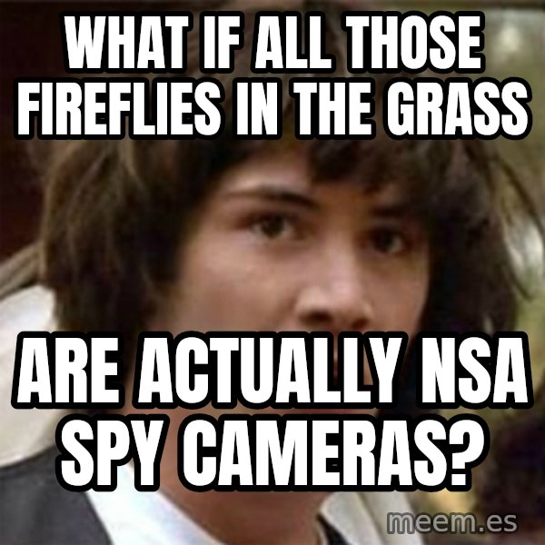 what if meme meme: what if all those fireflies in the grass / are actually NSA spy cameras?