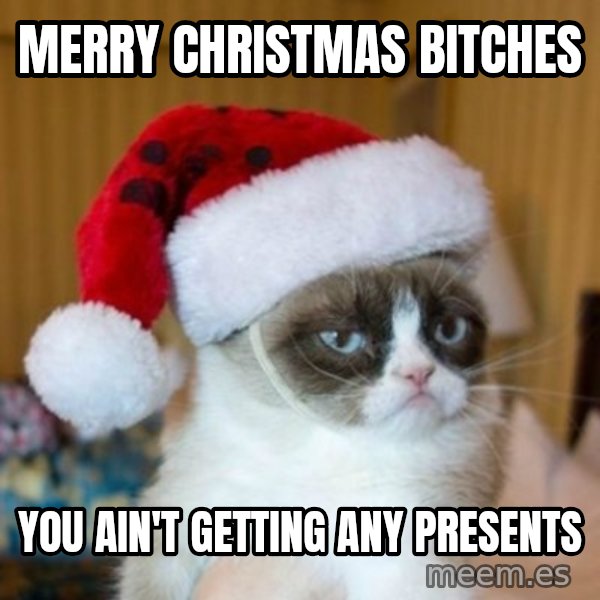Grumpy Cat Santa Hat meme: Merry Christmas Bitches / You ain't getting any presents