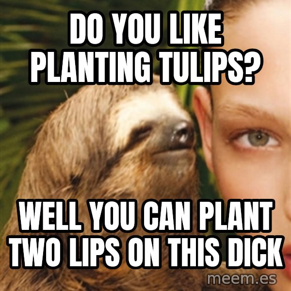 The Rape Sloth meme: Do you like planting tulips? / Well you can plant two lips on this dick
