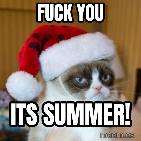 Grumpy Cat Santa Hat meme: FUCK YOU / Its SUMMER!