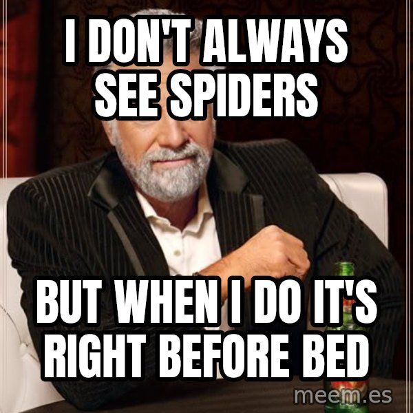 The Most Interesting Man In The World meme: i don't always see spiders / but when i do it's right before bed