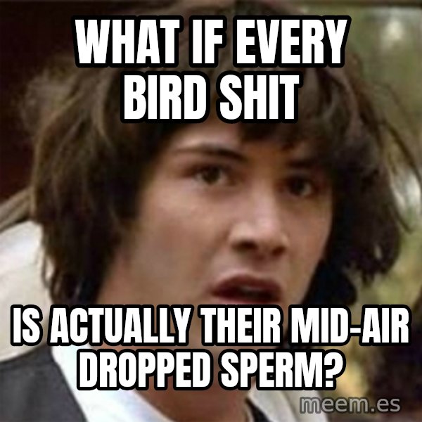 what if meme meme: What if every bird shit / is actually their mid-air dropped sperm?