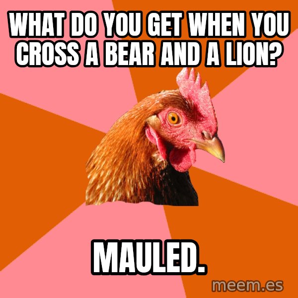 Anti Joke Chicken meme: What do you get when you cross a bear and a lion? / Mauled.
