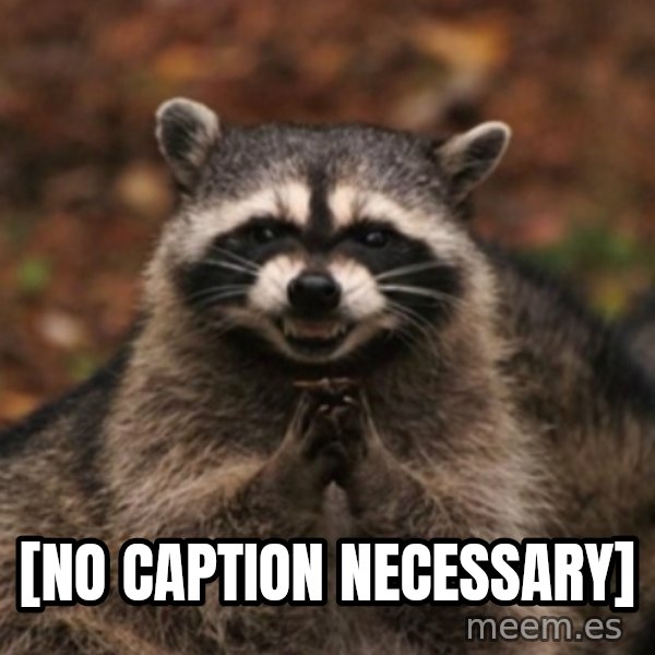 evil raccoon meme: [NO CAPTION NECESSARY]