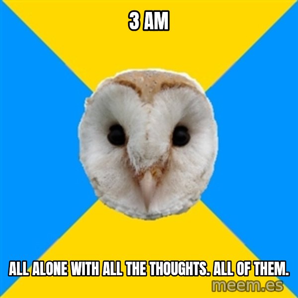 Bipolar Owl meme: 3 AM / All alone with all the thoughts. ALL OF THEM.