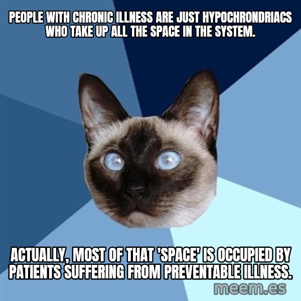 Chronic Illness Cat meme: People with chronic illness are just hypochrondriacs who take up all the space in the system. / Actually, Most of that 'space' is occupied by patients suffering from preventable illness.