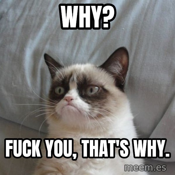 Grumpy cat good meme: Why? / Fuck you, that's why.