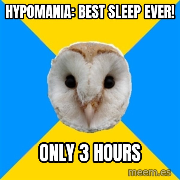Bipolar Owl meme: Hypomania: BEST SLEEP EVER! / only 3 hours