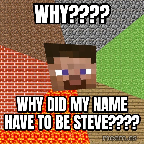 Minecraft Guy meme: WHY???? / WHY Did my name have to be steve????