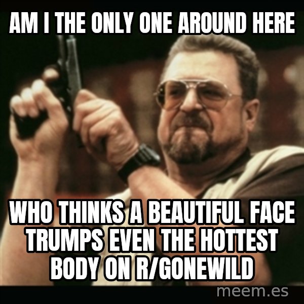 am i the only one around here meme: Am i the only one around here / Who thinks a beautiful face trumps even the hottest body on r/gonewild