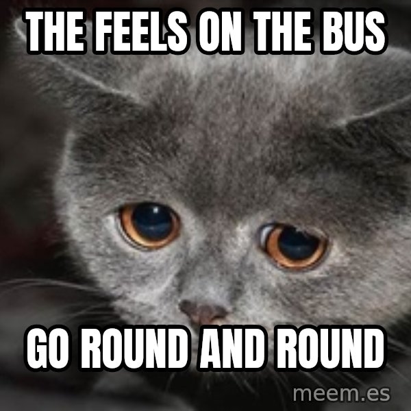 Sadcat meme: The feels on the bus / Go round and round