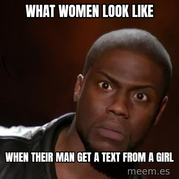 kevin hart nigga meme: What Women Look Like / When Their Man Get A Text From A Girl