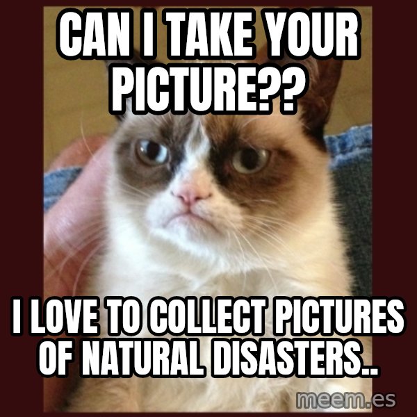 Grumpy Cat  meme: Can I take your picture?? / I love to collect pictures of natural disasters..
