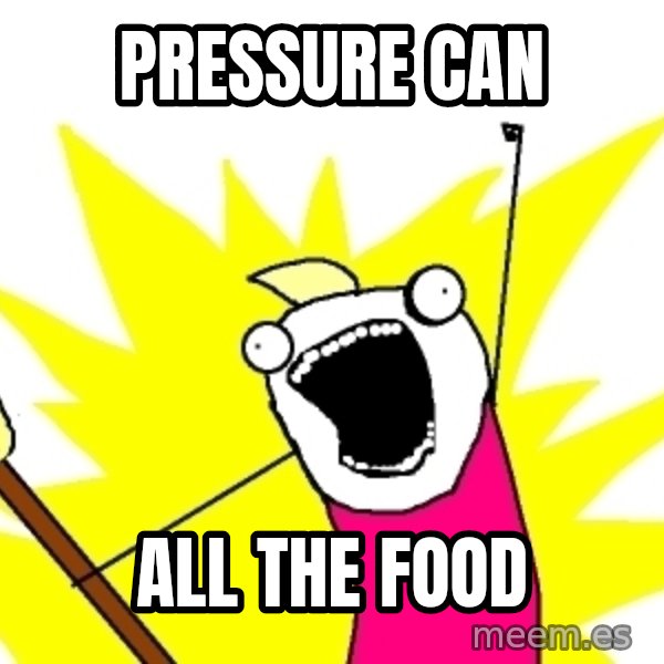 X ALL THE THINGS meme: pressure can / all the food