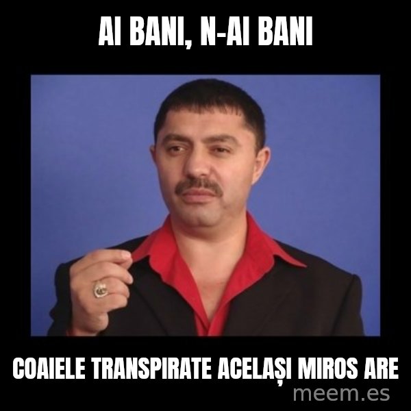 Manelistul Nicolae Guta meme: Ai bani, n-ai bani / Coaiele transpirate același miros are