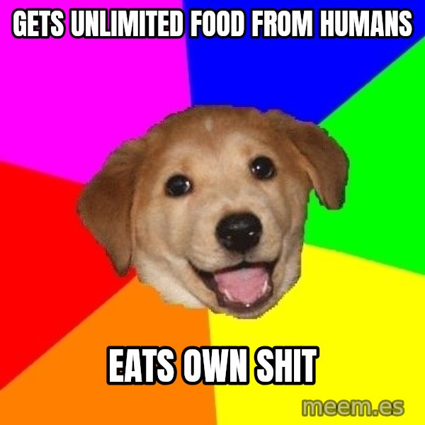Advice Dog meme: gets unlimited food from humans / eats own shit
