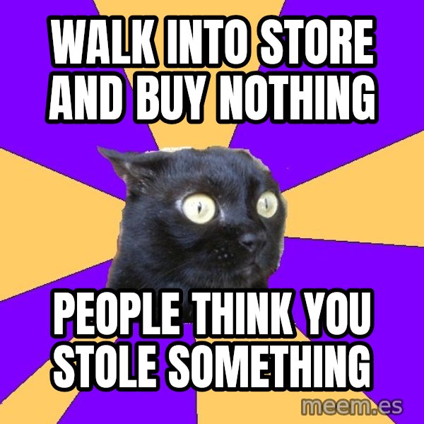 Anxiety Cat meme: walk into store and buy nothing / people think you stole something