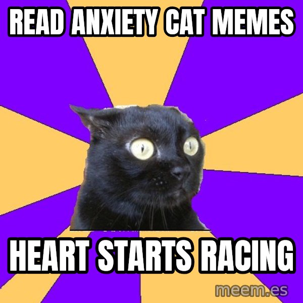Anxiety Cat meme: read anxiety cat memes / heart starts racing