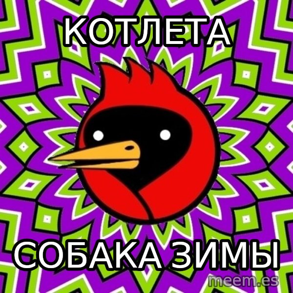 Omsk Crow meme: Котлета / Собака зимы
