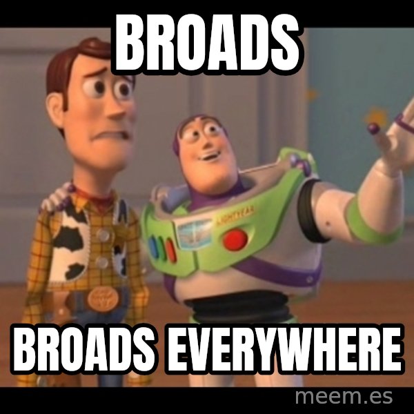 X, X Everywhere  meme: Broads / Broads everywhere