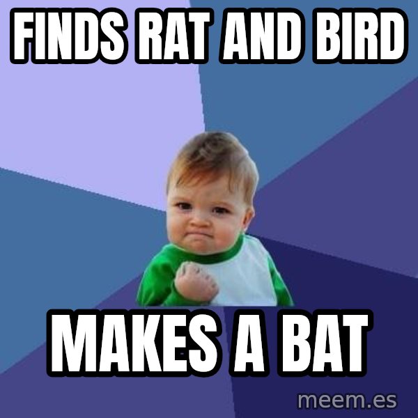 Success Kid meme: Finds Rat and Bird / Makes a bat
