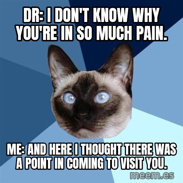 Chronic Illness Cat meme: Dr: I don't know why you're in so much pain. / Me: And here I thought there was a point in coming to visit you.