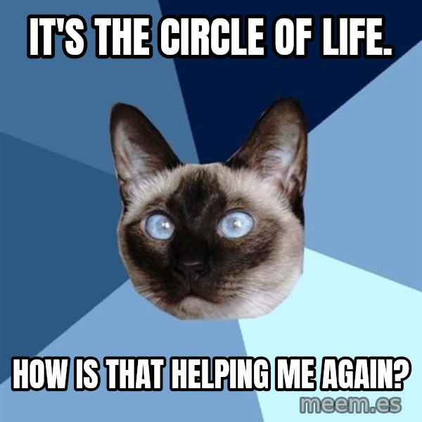 Chronic Illness Cat meme: It's the Circle of Life. / How is that helping me again?
