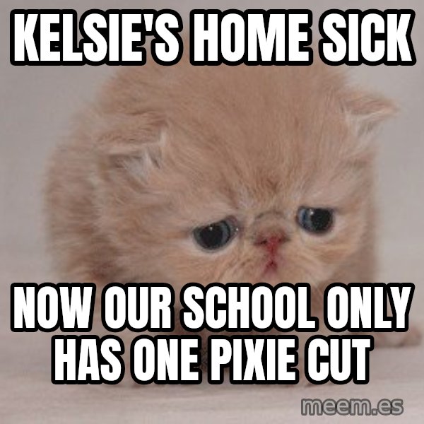 Sadcat meme: Kelsie's Home sick / Now our school only has one pixie cut