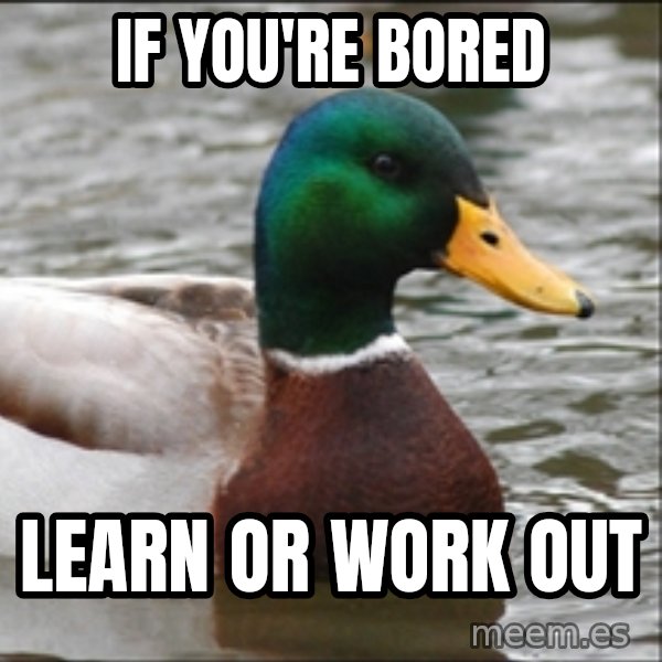 Actual Advice Mallard 1 meme: IF You're bored / learn or work out
