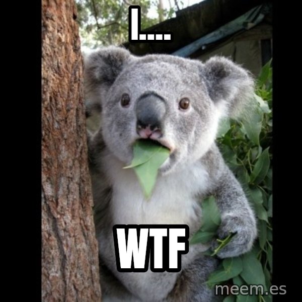 Koala can't believe it meme: I.... / Wtf