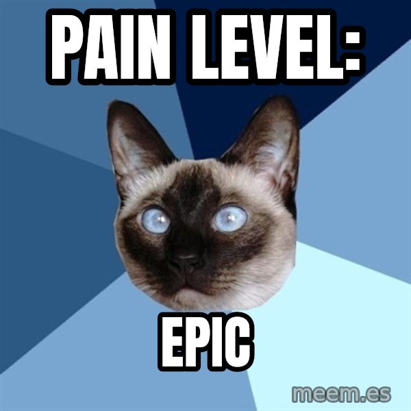 Chronic Illness Cat meme: Pain level: / epic