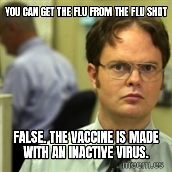 Dwight Schrute meme: You can get the flu from the flu shot / False. The vaccine is made with an inactive virus.