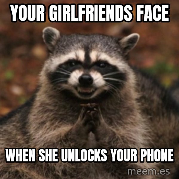evil raccoon meme: YOUR GIRLFRIENDS FACE / WHEN SHE UNLOCKS YOUR PHONE