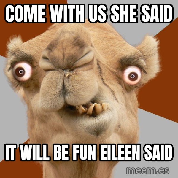 Crazy Camel lol meme: COME WITH US SHE SAID / IT WILL BE FUN EILEEN SAID