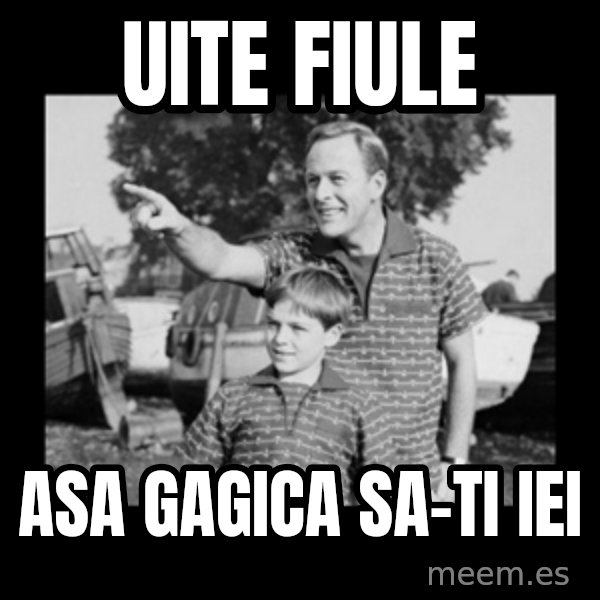 look son a faggot meme: UITE FIULE / ASA GAGICA SA-TI IEI