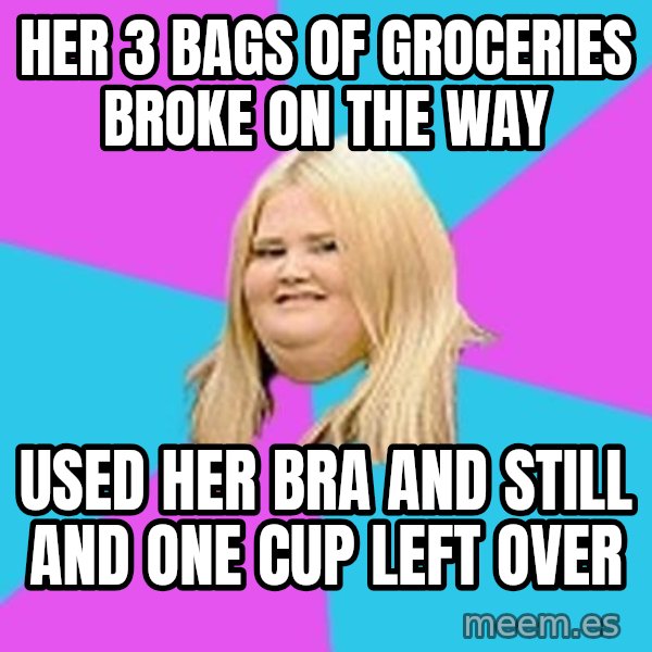 Fat Girl meme: her 3 bags of groceries broke on the way / used her bra and still and one cup left over