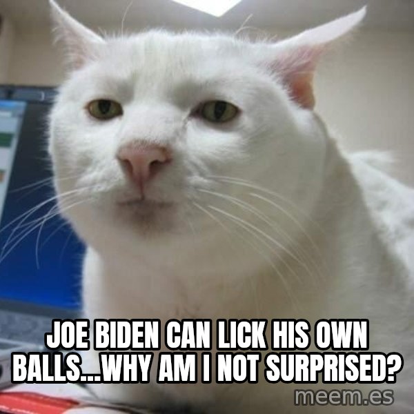 Serious Cat meme: joe biden can lick his own balls...why am i not surprised?