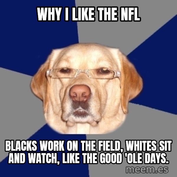 Racist Dog meme: Why I like the NFL / Blacks work on the field, whites sit and watch, like the good 'ole days.