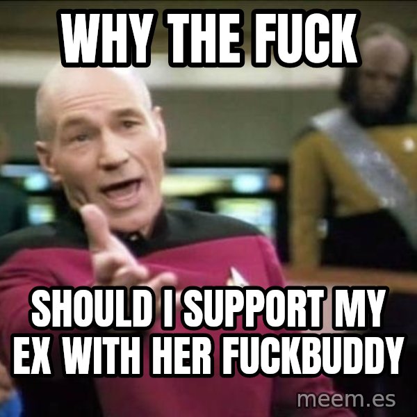 Why the fuck meme: why the fuck / should i support my ex with her fuckbuddy