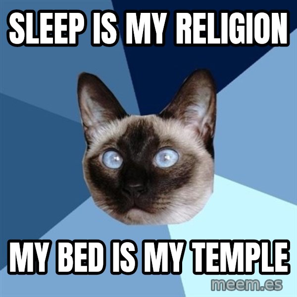 Chronic Illness Cat meme: sleep is my religion / my bed is my temple